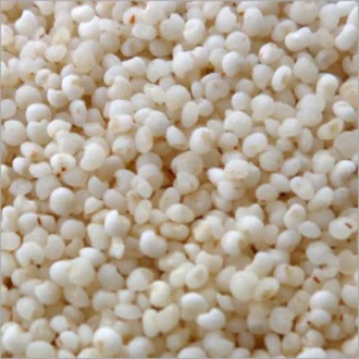 Samai Rice ( சாமை அரிசி)