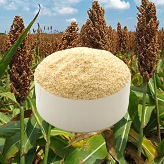 SORGHUM RAVAI